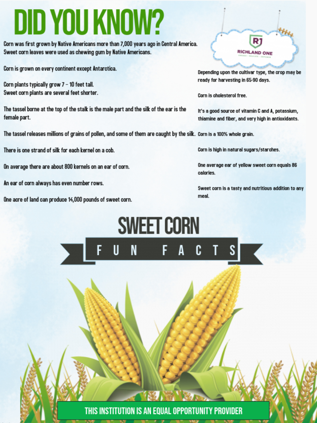 Richland One Schools School Nutrition And Fitness